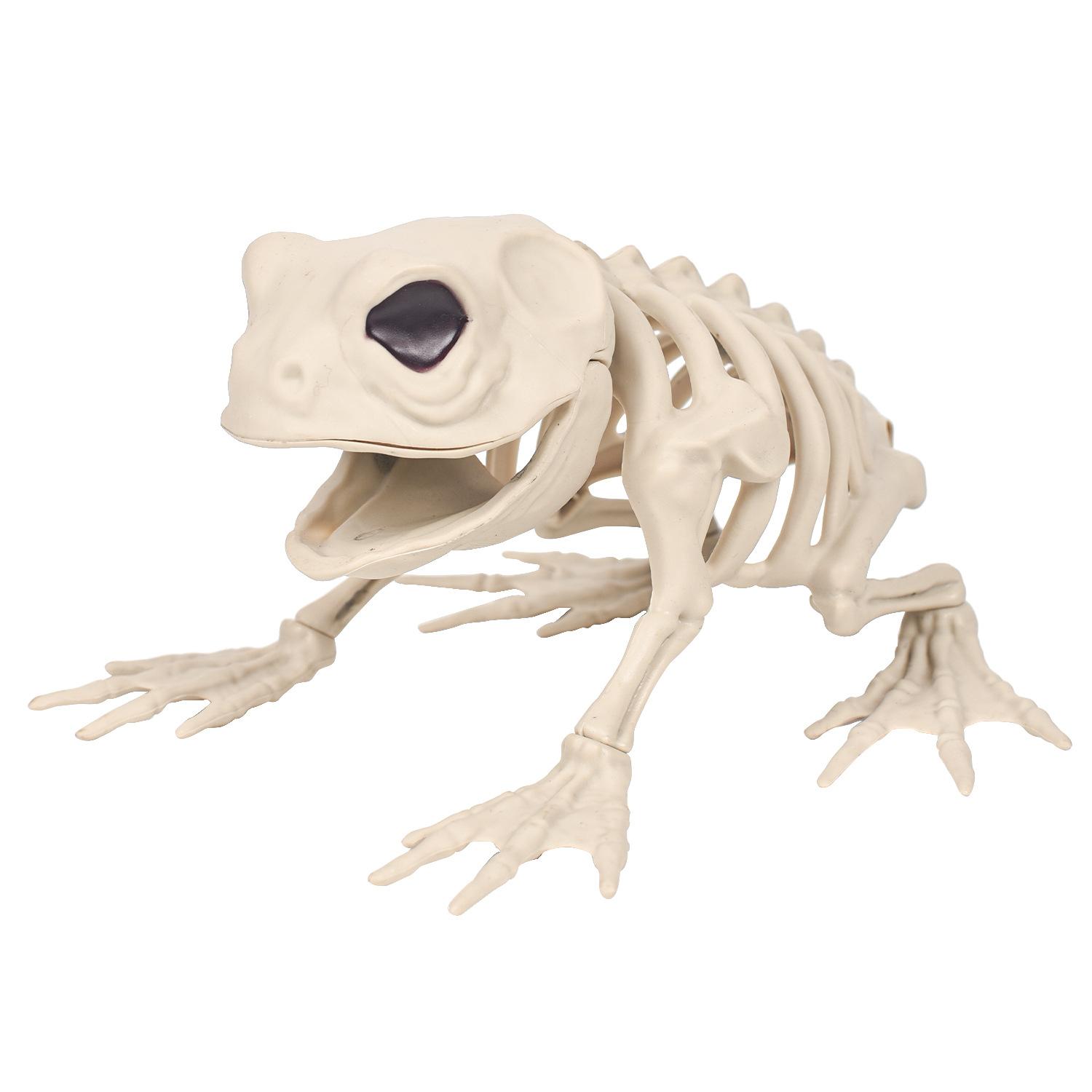 

Halloween Skeleton Decoration Props Simulated Animal Models Skeleton Wolf FrogCrow Skeleton Indoor Outdoor Garden HalloweenDecor