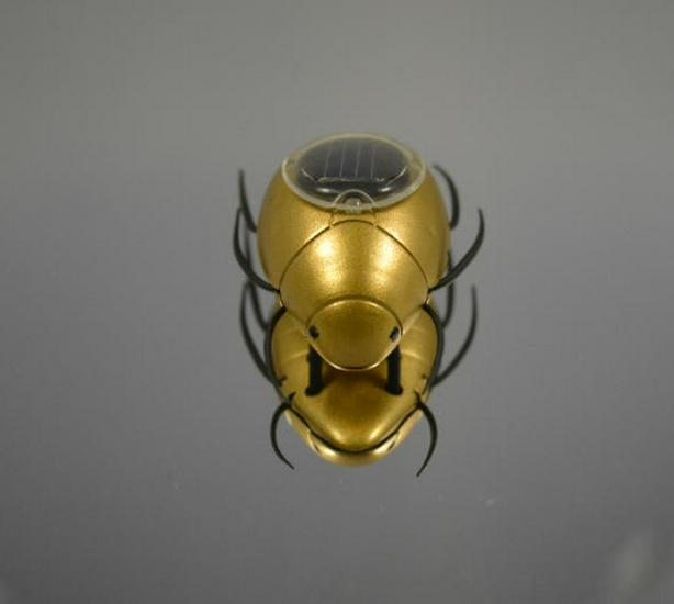 Solar-Powered Insect Toys: Creative Science Experiment Models for Children's Educational Learning
