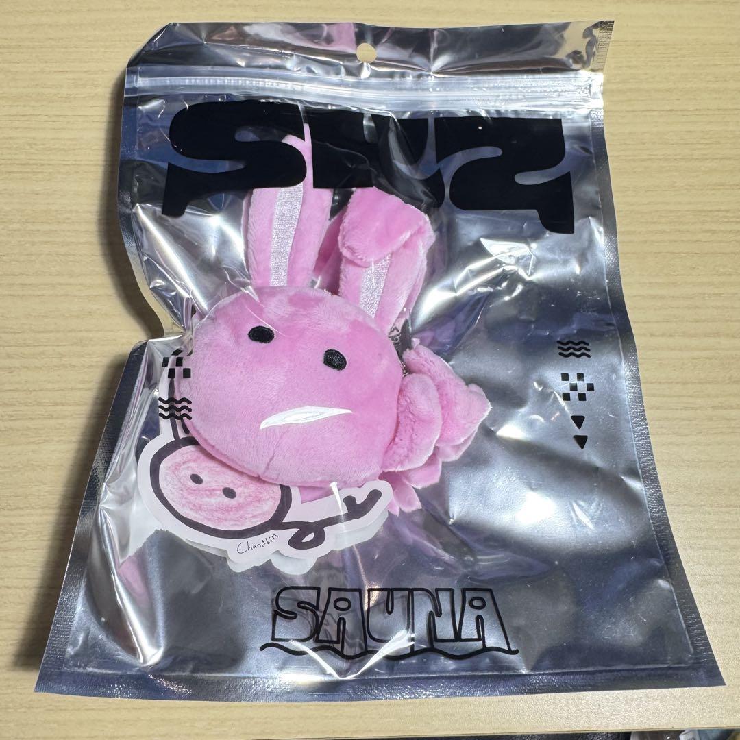 

[USED] STRAY KIDS CHANGBIN Member Profile