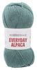 NASKA Yarn Everyday Alpaca Medium Weight Green Series 100g 300m Set Hand-Knitting COL.204 Approx. 5-ball N-108