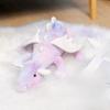 New JC Plush Toys: Love Series; Rabbit Series; Roses; Dragon Series; Turtle Series; Bear Series; Clover and Other Dolls2026