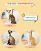 Siamese Cat Plush Toy: Early Education Comfort Gift for Children, Home Decor Ornament