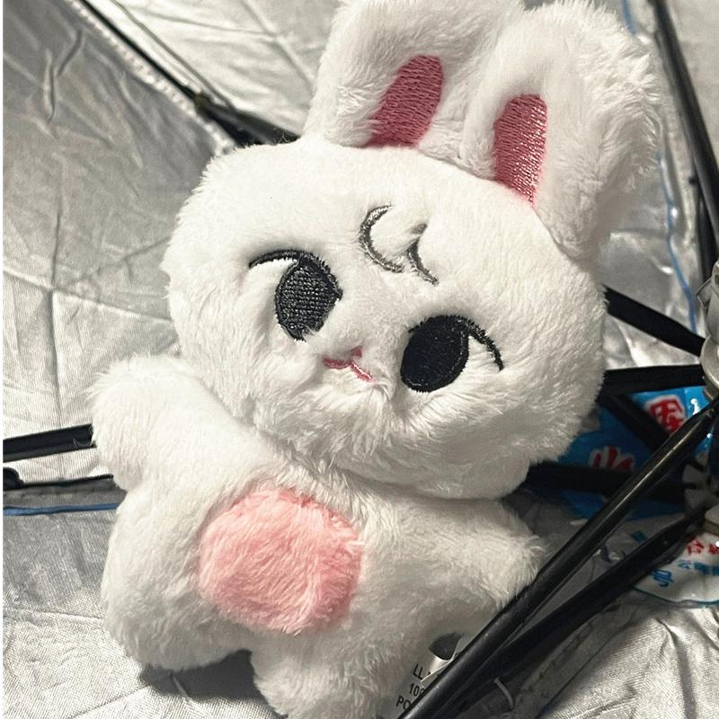 New Kpop Kawaii Cotton Cartoon Keychain Decoration Mini Creative Cute Shoulder Bag Plush Pendant Fans Gift Backpack Key Rings