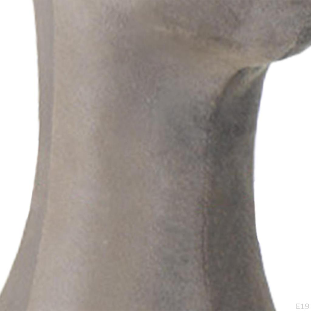 Mannequin Head Model Wig Display Head, Necklace Stand, Multifunctional Holder,