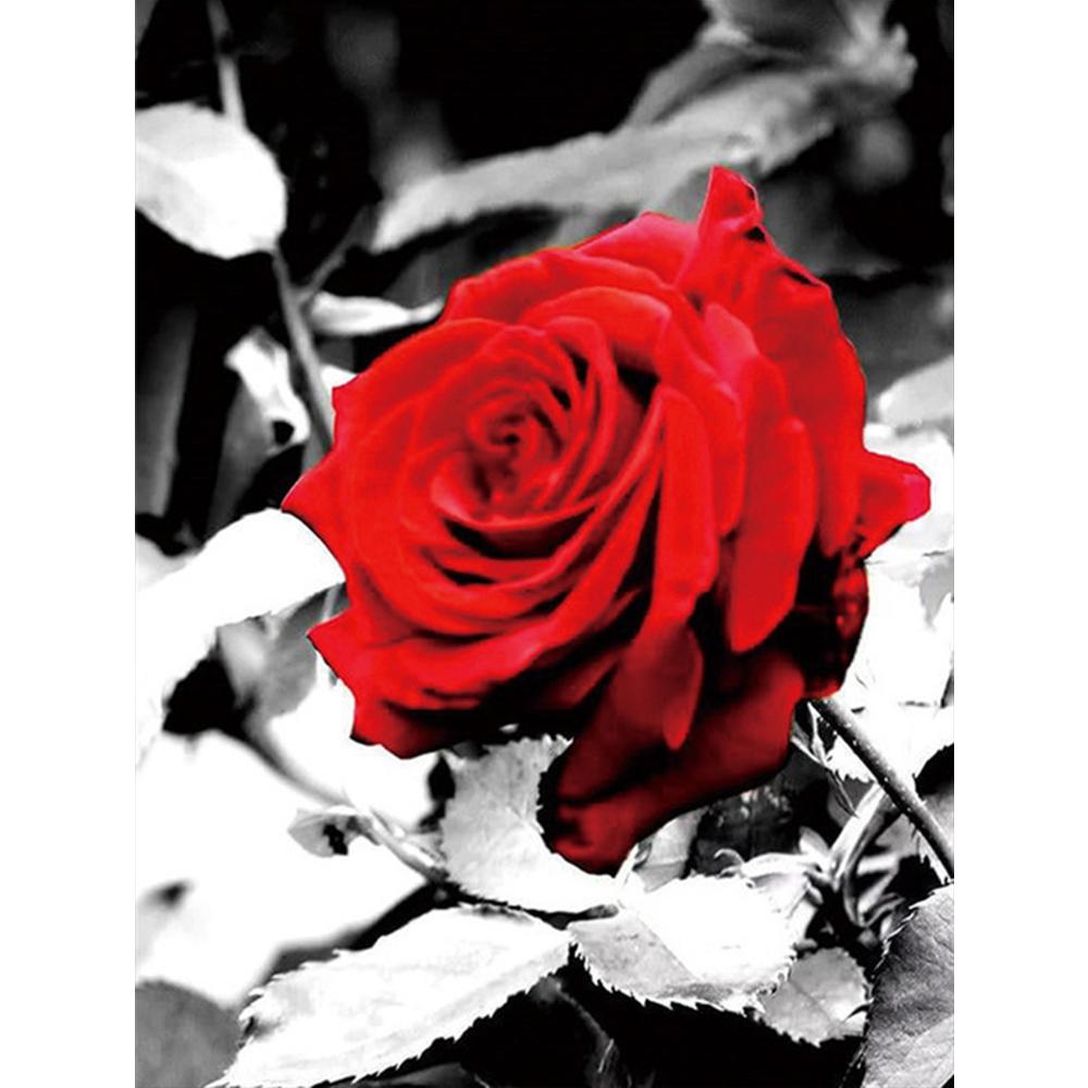 

Полный 5D алмазная живопись Черная и белая роза DIY Алмазная вышивка Алмазная мозаика наборы крестиков домашний декор подарок Square 20x30cm
