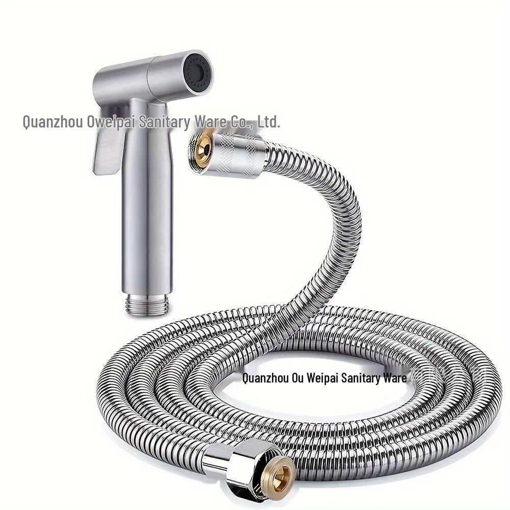 Stainless Steel Bidet Sprayer Set - Toilet Companion & Booster Shower Head