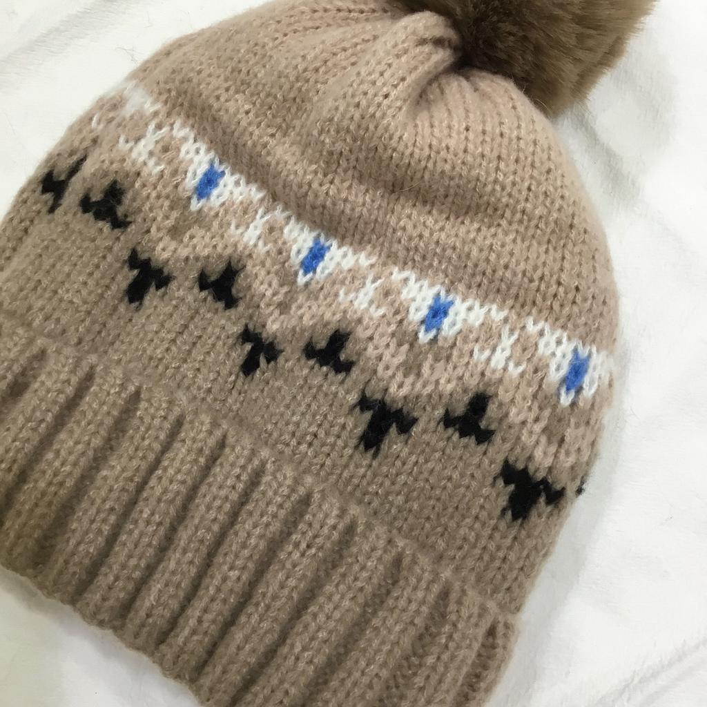 New Warm Knitted Hat for Women for Women Korean Style Versatile Plus Velvet Thickened Windproof Ear Protection Wool Hat