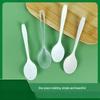 Abay Disposable Plastic Spoons