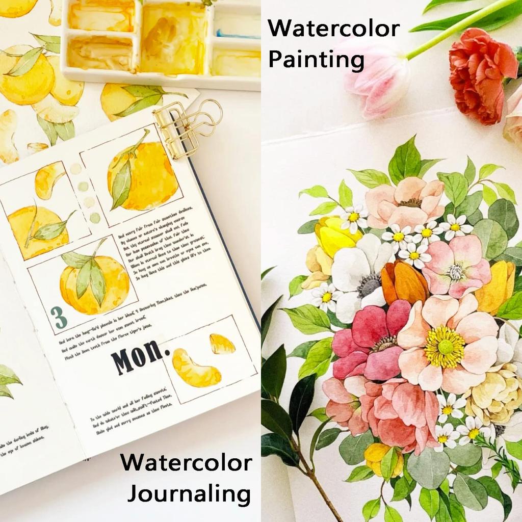 Shuttle Art Watercolor Paint 36 Transparent 12ml Perfect for Adult Coloring Art School and Set, Colors, Colors, Tubes. Books, Drawing, Supplies, Use,