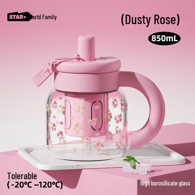 Shidajia Portable Glass Straw Tea Cup