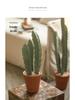 Three-Stem Artificial Cereus Bonsai for Indoor Decor