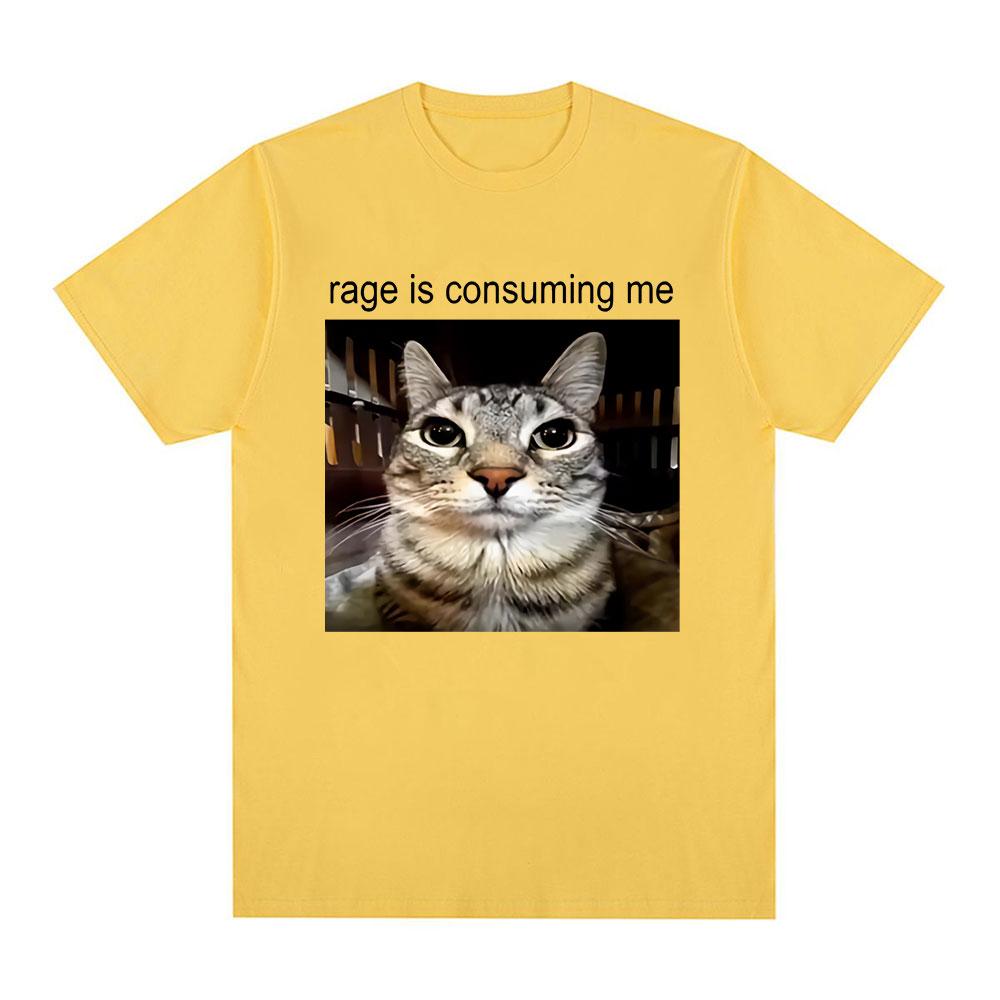 Rage Is Consuming Me Silly Staring Cat Meme Tee Shirt Casual Cotton Short Sleeve T-shirts Men Women Cat Lover T Shirt Oversized