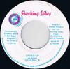 7inch Record GENERAL B - Stand Up NONE Shocking Vibes 1996 Jamaica Reggae, Ska & Dub Used