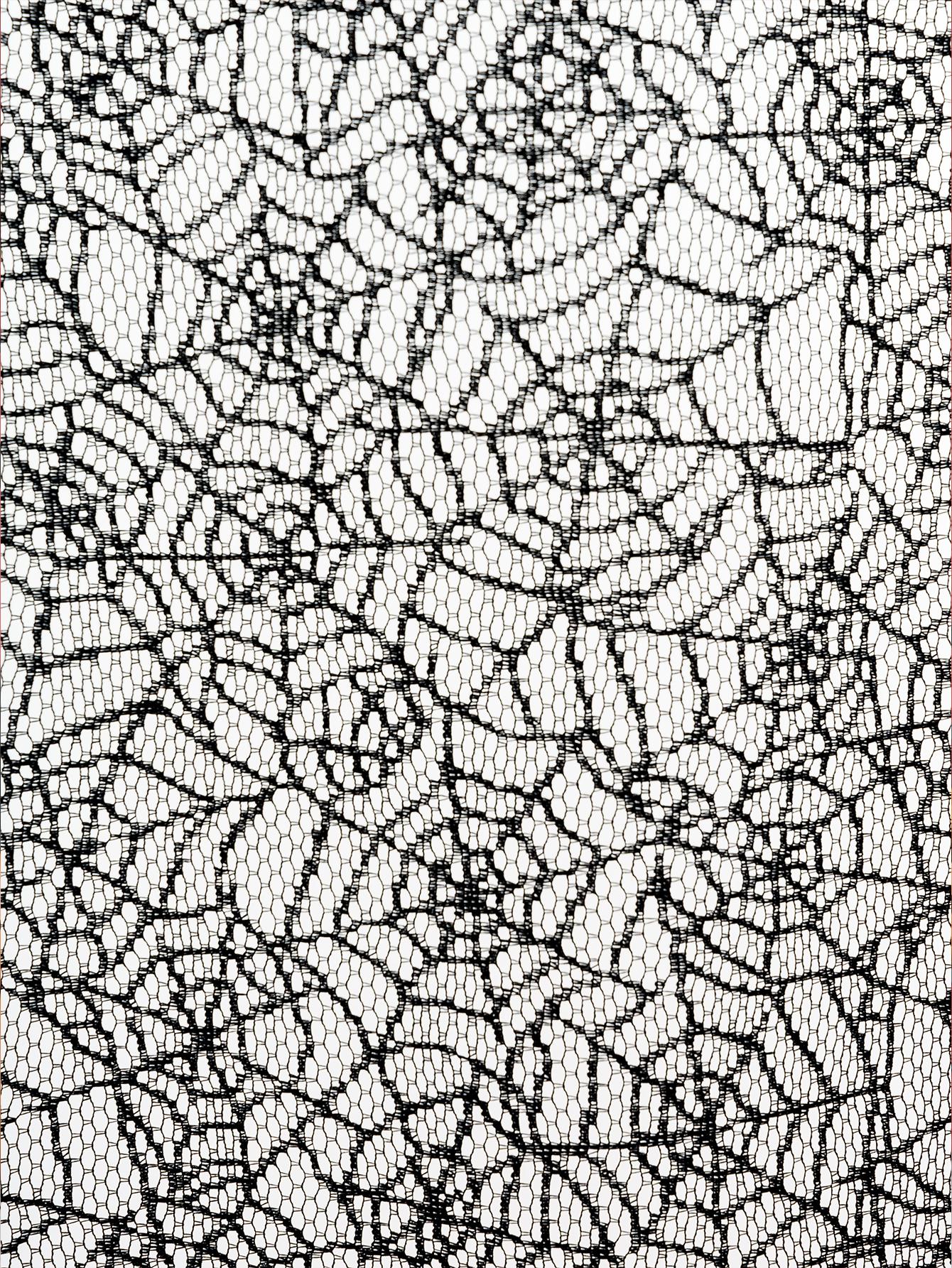 

Halloween Spider Web Lace Decorative Door Curtain for Living Room Bedroom Scary Atmosphere Night Party Decoration 100x100cm&Fixed Pleat