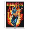 NINJA GAIDEN BOX ART Dekový přehoz Měkký Velký Postelový Módní Měkké Postele Vintage Přehozy