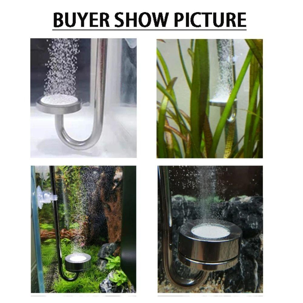 304 Stainless Steel Fish Tank CO2 Diffuser U-shaped Aquarium Oxygen Diffuser  Aquarium