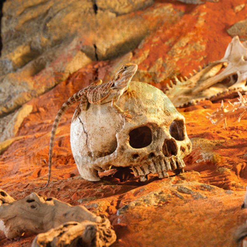 Fish Tank Aquarium Skull Decoration Breeding House Simulation Resin Cranium Statue Spider Scorpion Lizard Shelter Home Ornament