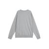 Jordan Sweatshirts Men's Gray Crew Neck Moderate Regular DV1287-091