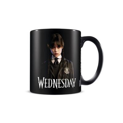 Wednesday Friendship Mug