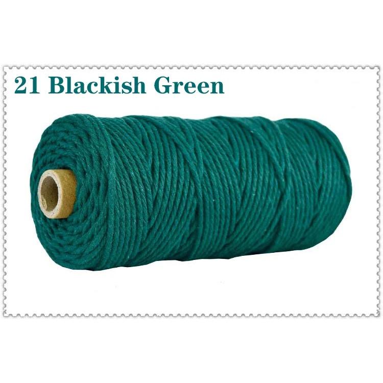 3mm 100% Cotton Cord Colorful Handmade Rope Twisted Macrame String DIY Home Wedding Decoration Supply Film Packaging 100m