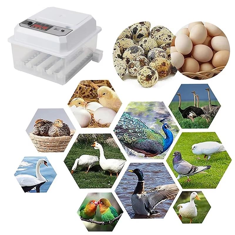 16 Eggs Farm Poultry Fully Automatic Turning Egg Incubator Dual-Electric Mini Household Brooder For Chicken Goose Duck Egg Birds