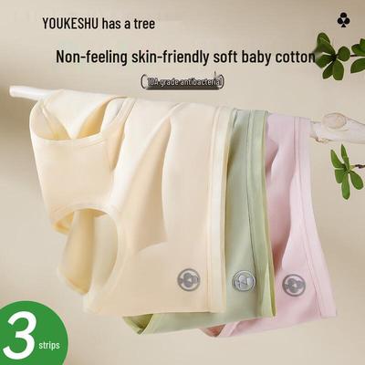 YOUKESHU Women's Cotton Anti-Bacterial Briefs 3-Pack