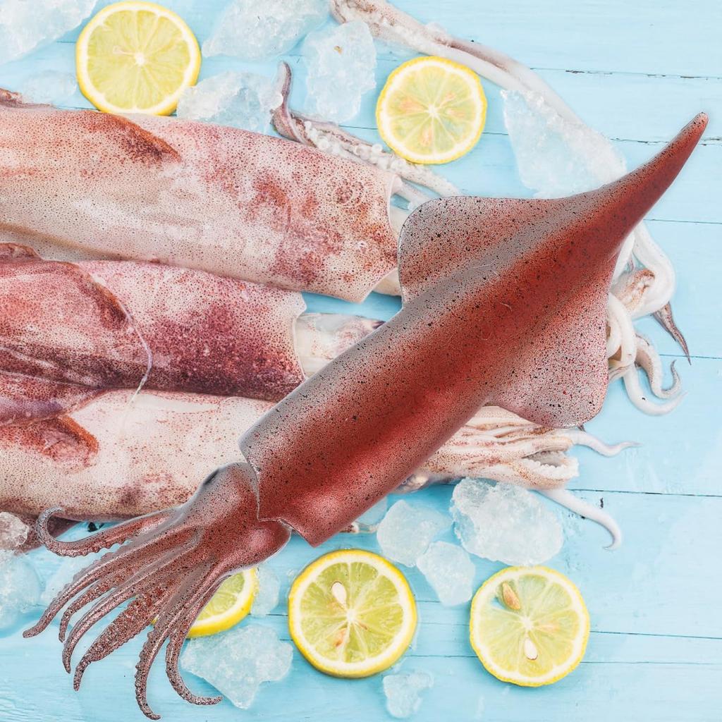 NOLITOY Spetsbläckfisk Bläckfisk för Kök och Restaurang Mat Matfotografi Interiör Havsdjur Leksaksmodell, PVC, Högupplöst Figur, Display,