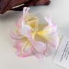 Mote Lilje Blomst Hårklemme Krabbe For Kvinner Jenter Elegant Fe Stort Hår Klokjeve Hai Hårnåler Søtt hårtilbehør