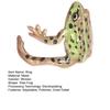 Tree Frog Ring Good Detail Realistic Animal Smooth Polished Adjustable Open Ring Novelty Knuckle Ring Party Daily Lady Finger Jewelry