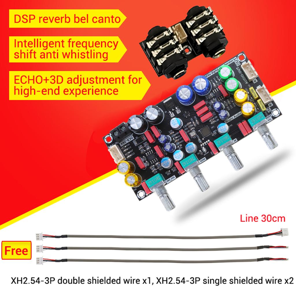 Microphone Amplifier Board Karaoke Reverberation Board ZK-AMP