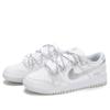 Nike Dunk Abrasion Resistant Abrasion Resistant Low Top Skateboard Shoes Women's Silver Gray DD1391-103(Team1225-)