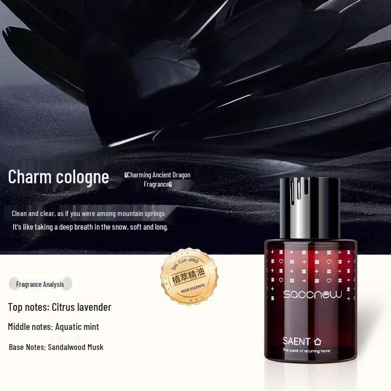 Naturalny Długotrwały Odświeżacz Powietrza do Samochodu: Odświeżająca ozdoba do wnętrza samochodu