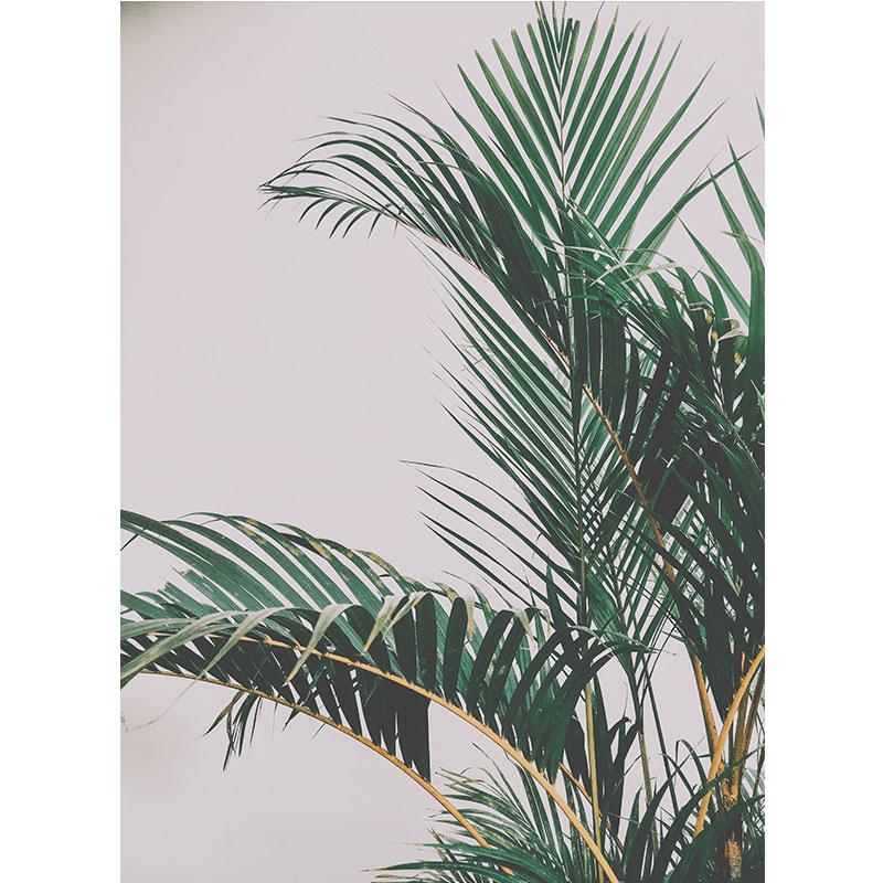 

Современная картина на холсте с природой, зеленые листья, картины с растениями, постеры с деревьями, принты для декора гостиной, настенное искусство куадрос 21x30cm No Frame