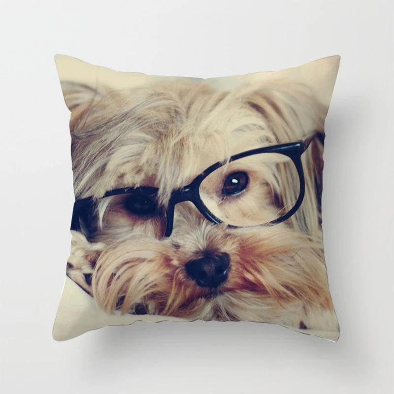 Bedroom Sofa Waist Cushion Cover Car Decorative   Cute Dog Yorkie  Yorkshire Decor Print Pillowcase