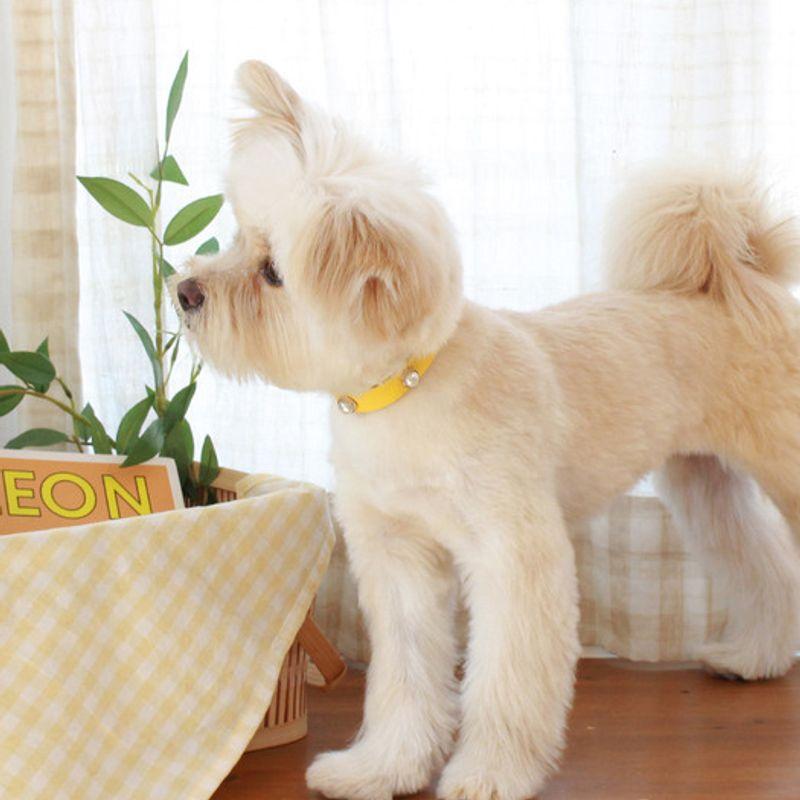 MAISON DE MIU Soft Perlenkragen_Gelb