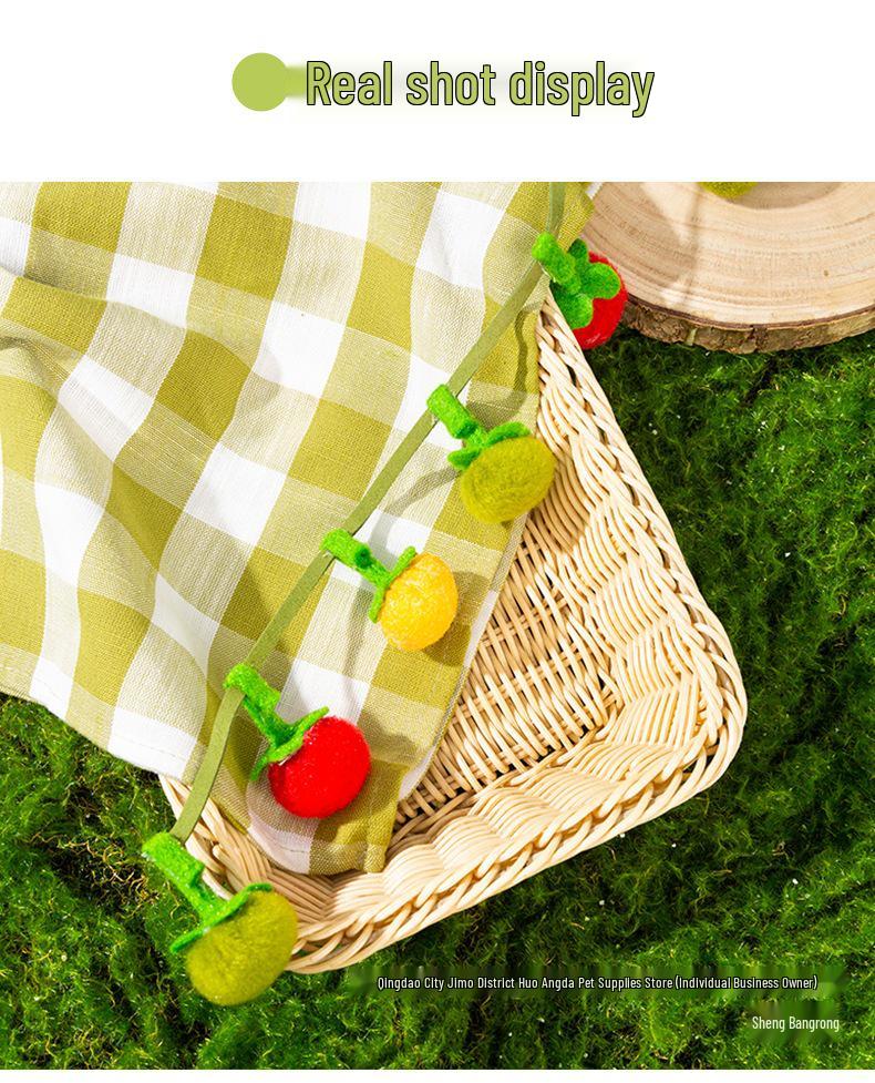 Bite-Resistant Tomato Teaser Wand with Bell - Self-Play Cat Toy for Kittens