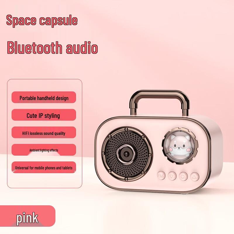 

Weizhi Portable KTV Bluetooth Speaker with Bass
