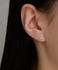 Lloyd Petite Heart 14K Gold Earrings Lpfq1005G