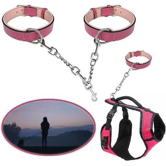 Dog Collar Safety Clip Metal Clasp Double Ended Connector 2 Pack Prong Chew Proof Backup Dog Clip for Pet Harness Collar Leash Necklaces Dog Strap