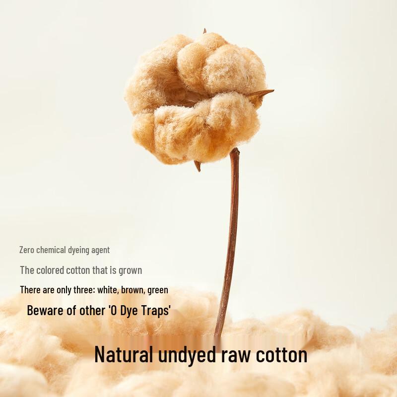 Pure Cotton Antibacterial Women's Briefs