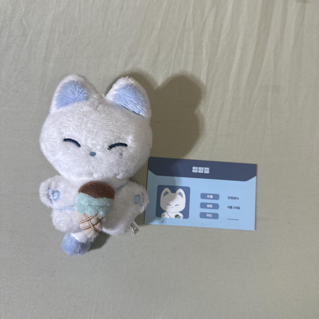

[USED] ENHYPEN Sunwoo Plush Toy
