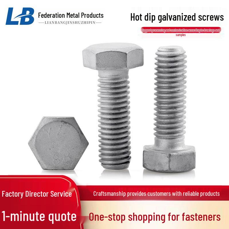 

Grade 8.8 Hot-Dip Galvanized Photovoltaic Hexagon Screws and Bolts for Power Towers M8*20