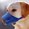 Pet Dog Muzzles, Muzzles, Anti-pica, Teddy Poodle, Golden Retriever, Anti-barking Mask, Anti-licking, Wound Resistant To Biting