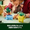 LEGO Botanical Collection Flower Bouquet Decorative Toy for Kids Ages 9-11