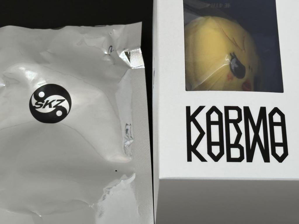 [GEBRAUCHT] straykids KARMA SKZOO Pogari