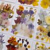 Natural Pressed Dried Flower For Epoxy Resin Dry Flowers and Leaves Set for Soap Candle Jewelry Making Scrapbooking