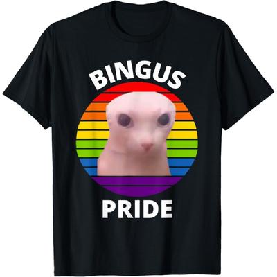 Bingus My Beloved Gay Pride Hairless Sphinx Bingus Cat Meme T-Shirt