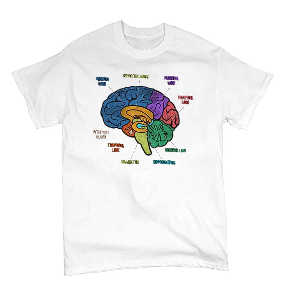 Funny Part of The Brain Color Chart High Quality Tshirt Neurology Print Harajuku Unisex Summer Short Sleeve Gift Tshirt Tops