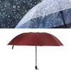 Travel Umbrella 10 Ribs Portable Manual Windproof Rainproof Sunscreen Folding Umbrella for Outdoor Travel Camping