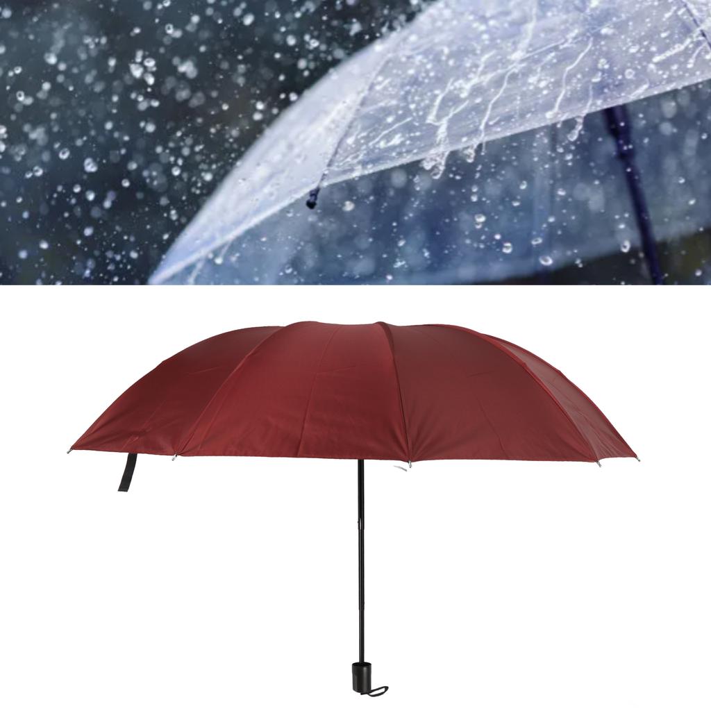 Travel Umbrella 10 Ribs Portable Manual Windproof Rainproof Sunscreen Folding Umbrella for Outdoor Travel Camping